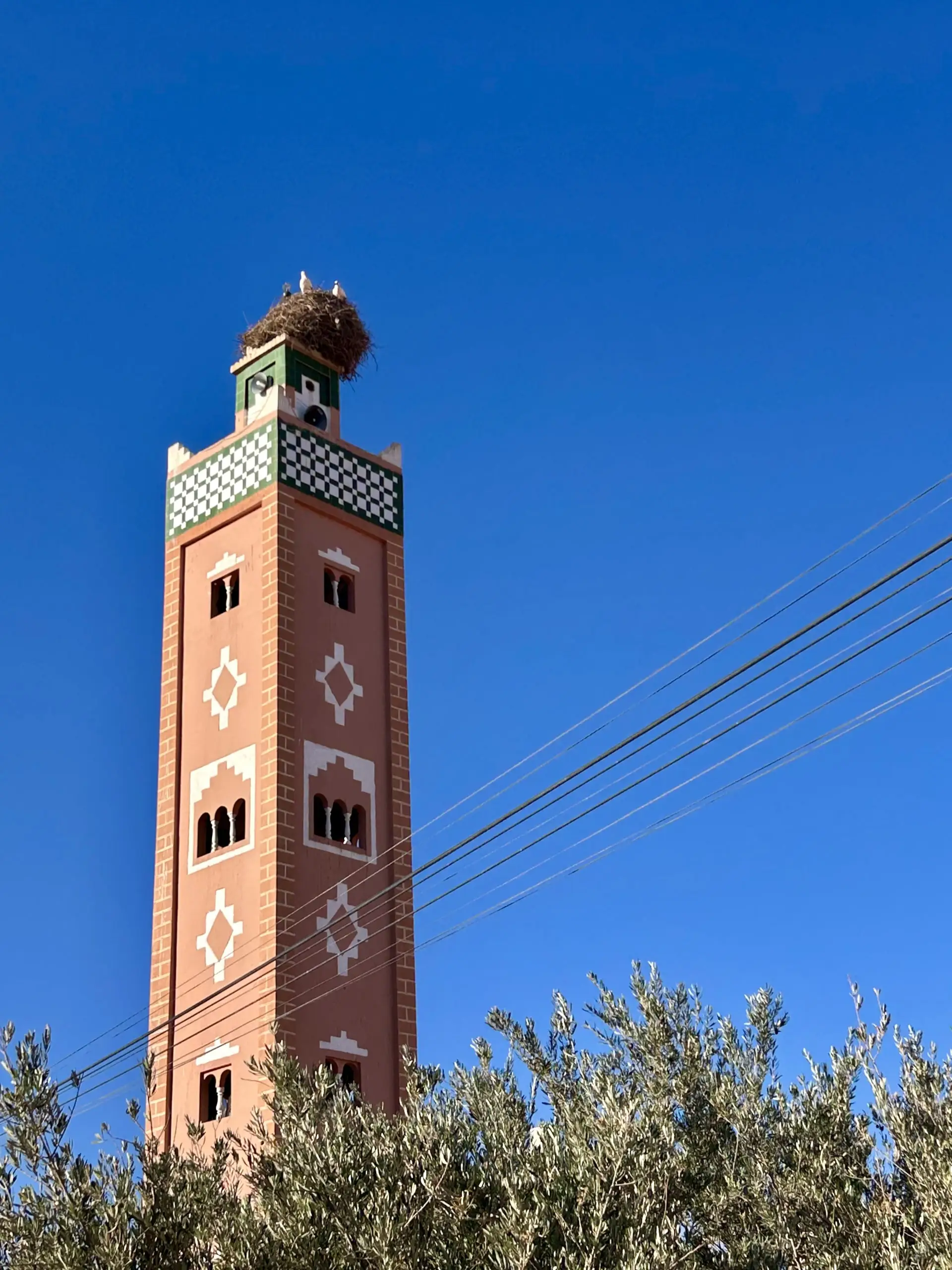 Štíhlý minaret zdobený bílými geometrickými vzory s velkým čapím hnízdem na vrcholu proti modré obloze.