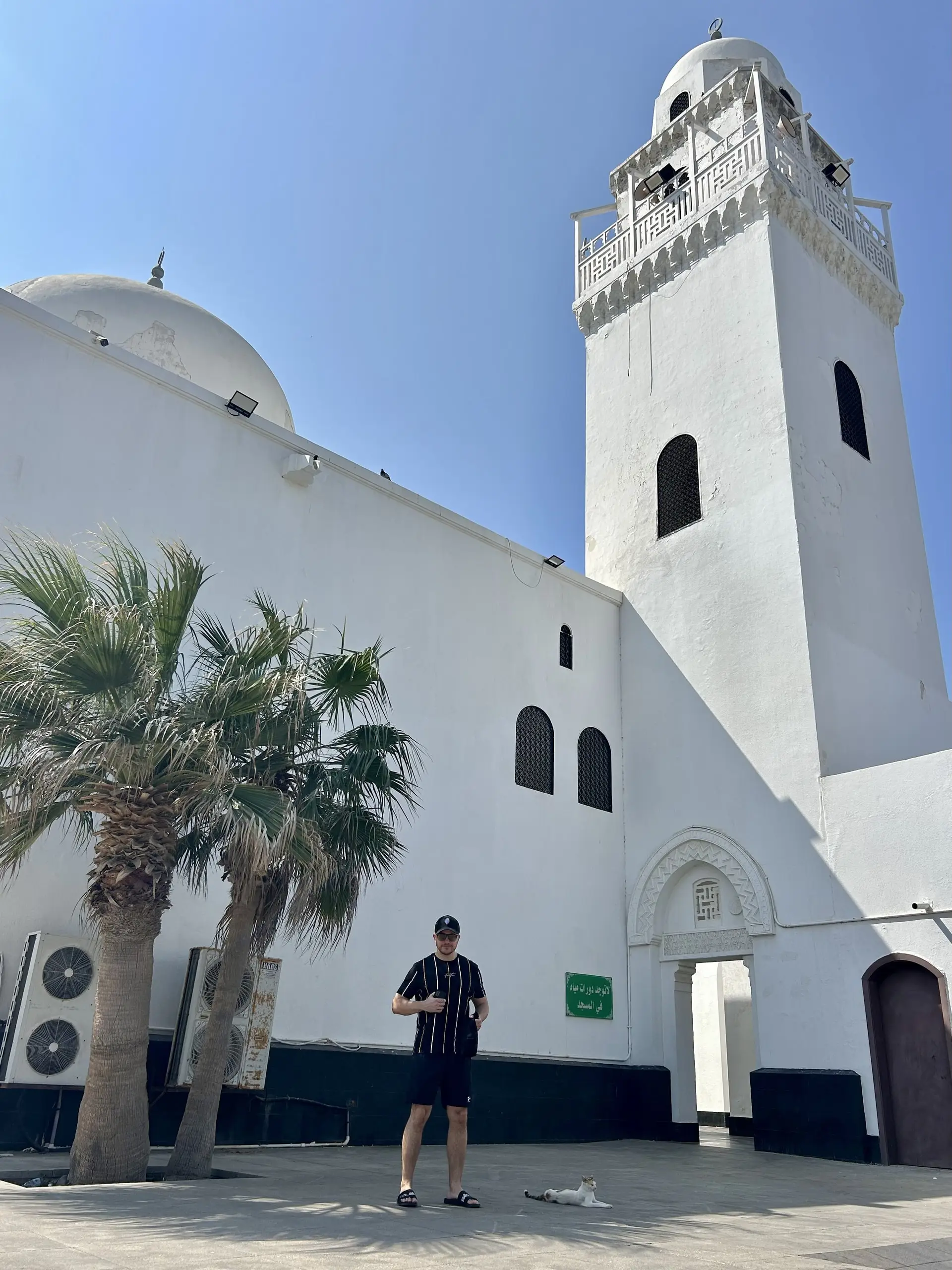 Stojím na nádvoří před starou bílou mešitou s minaretem, kupolí a palmou.