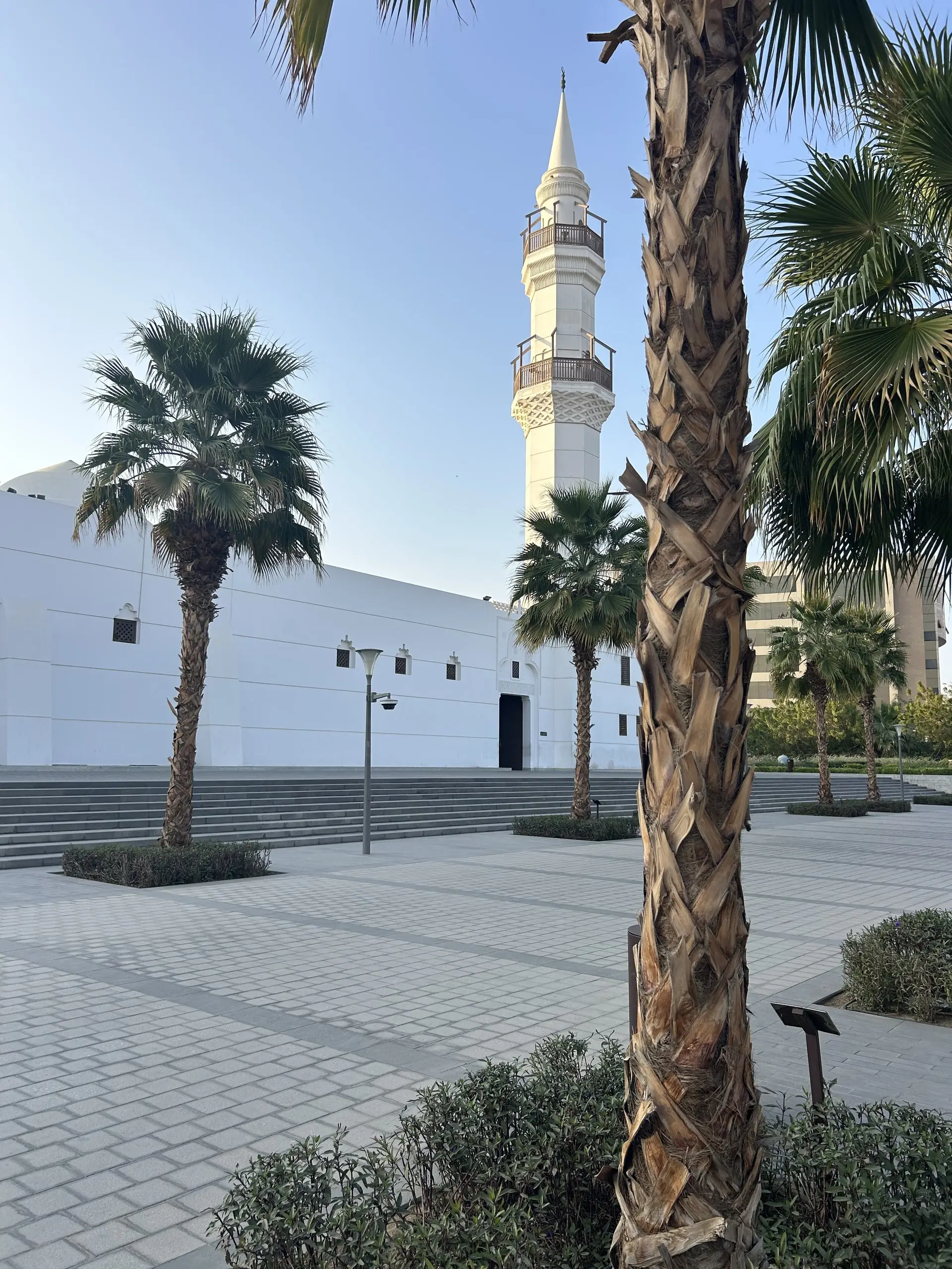 Štíhlý minaret bílé mešity mezi palmami na vydlážděném prostranství za soumraku.