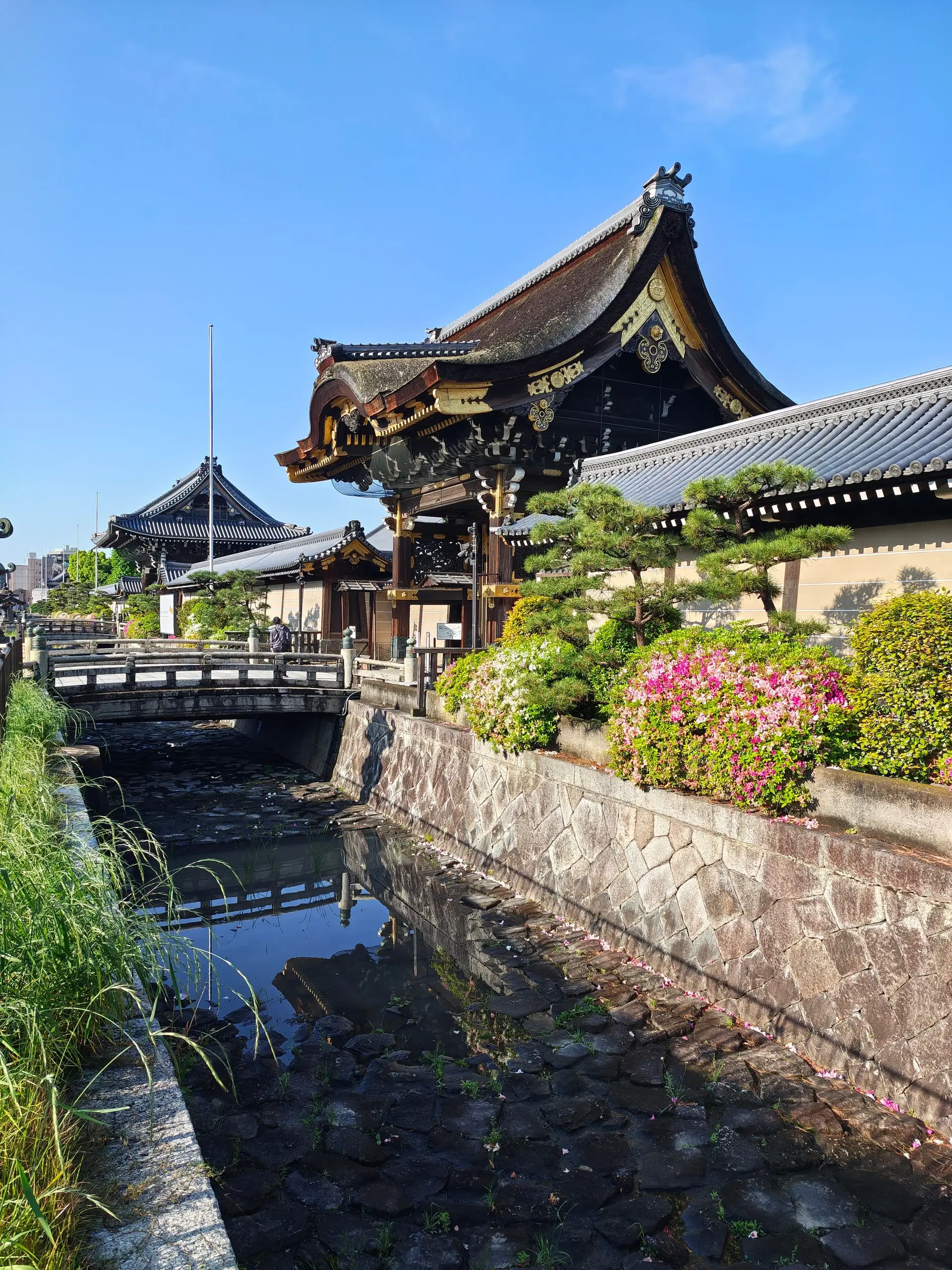 Ranní pohled na zdobenou japonskou chrámovou bránu a most přes kamenný kanál s kvetoucími keři.