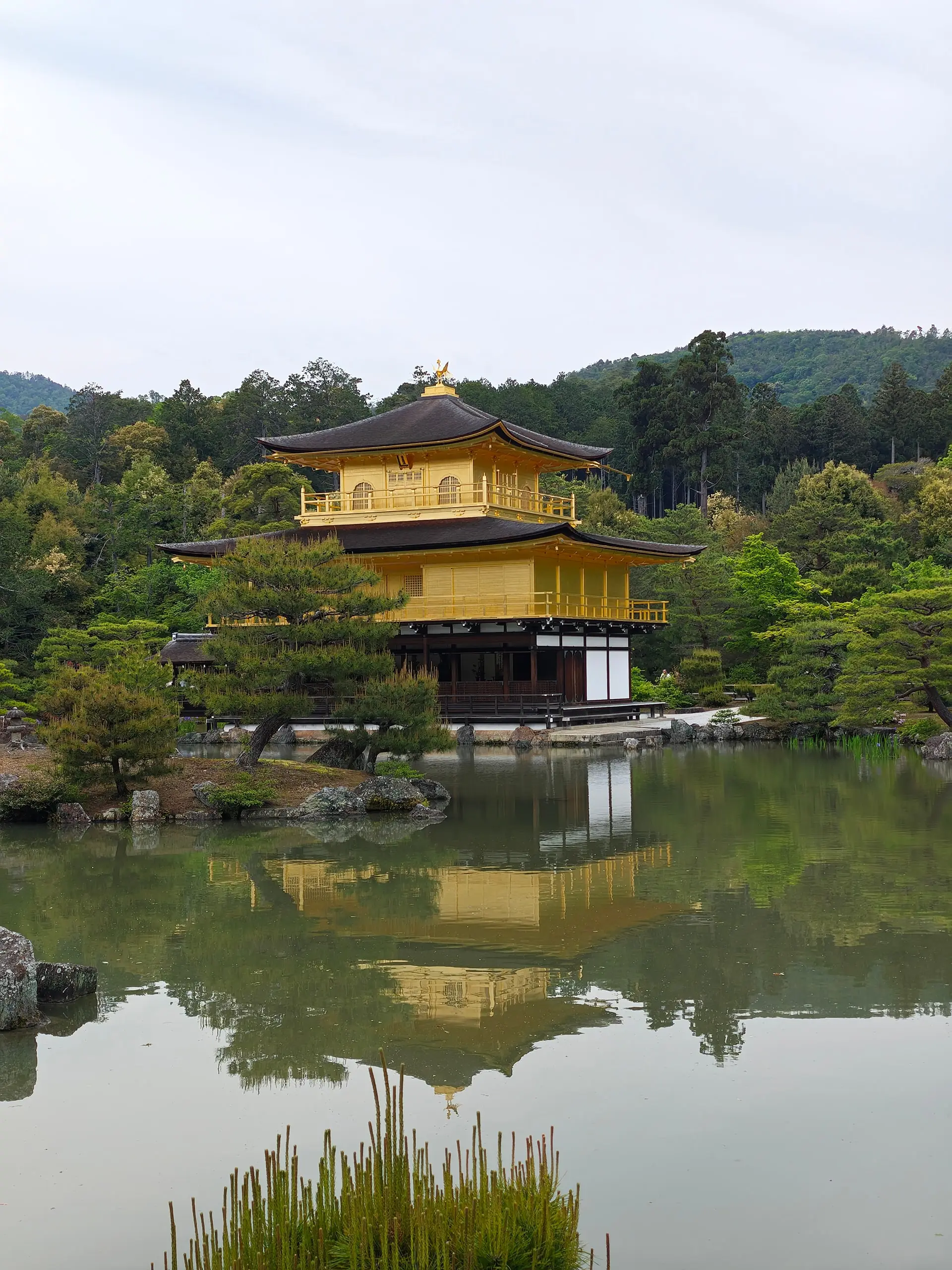 Zlatý chrámový pavilon Kinkaku-ji se zrcadlí v klidném jezírku obklopeném zelení.