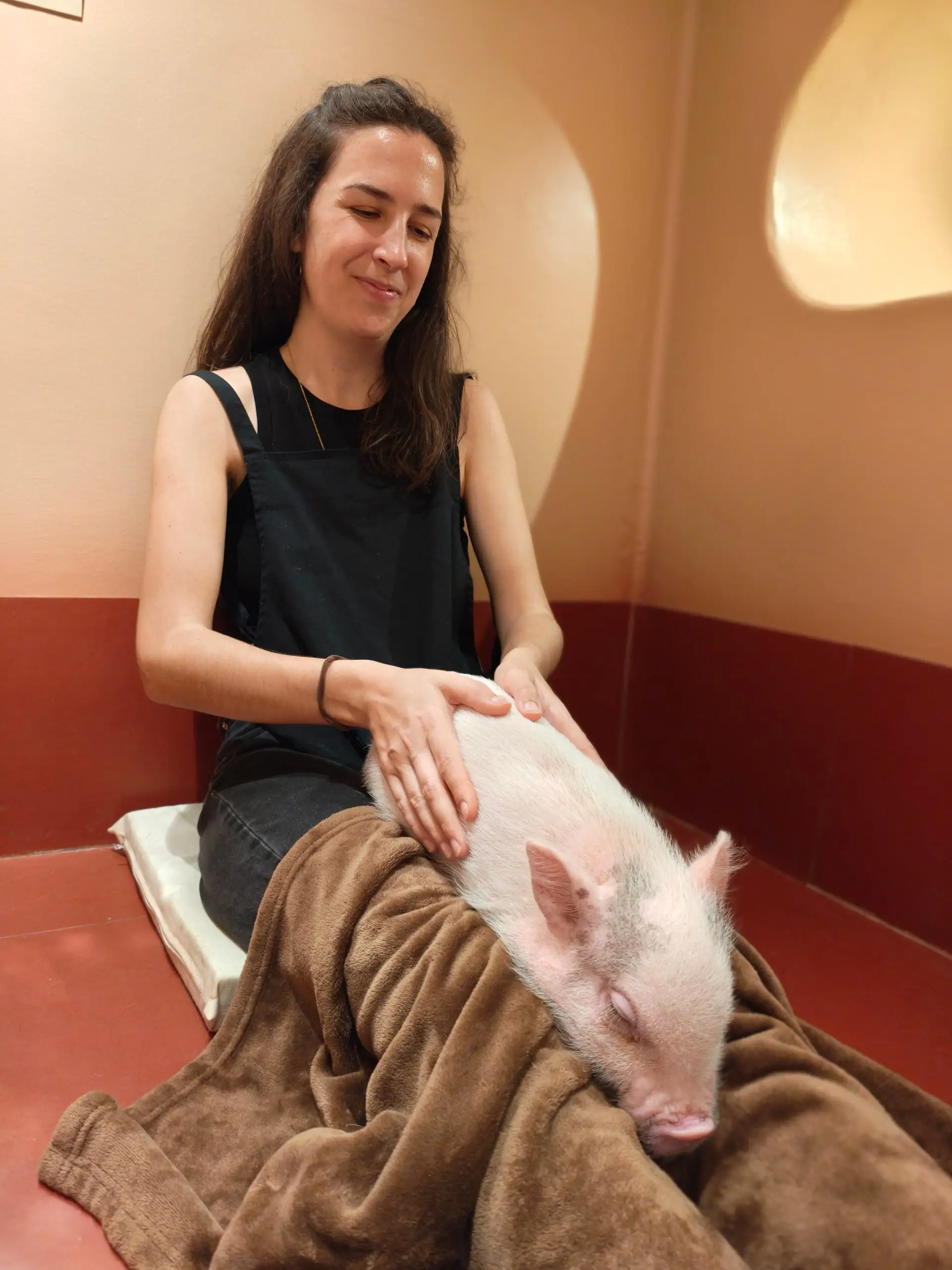 Žena sedí v boxu kavárny a hladí růžové prasátko zabalené v dece.