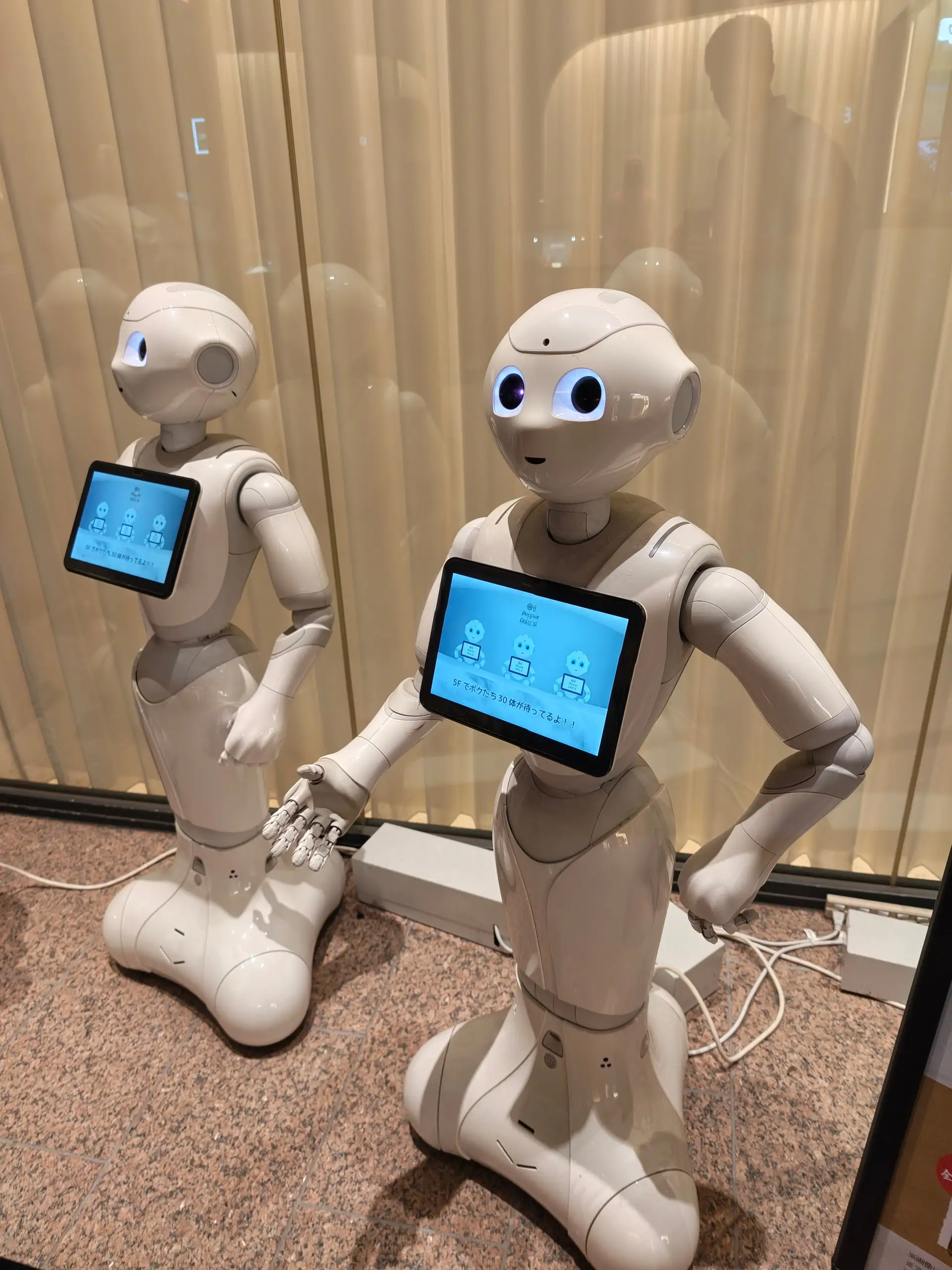 Dva bílí humanoidní roboti Pepper s dotykovými tablety na hrudi stojí u okna.