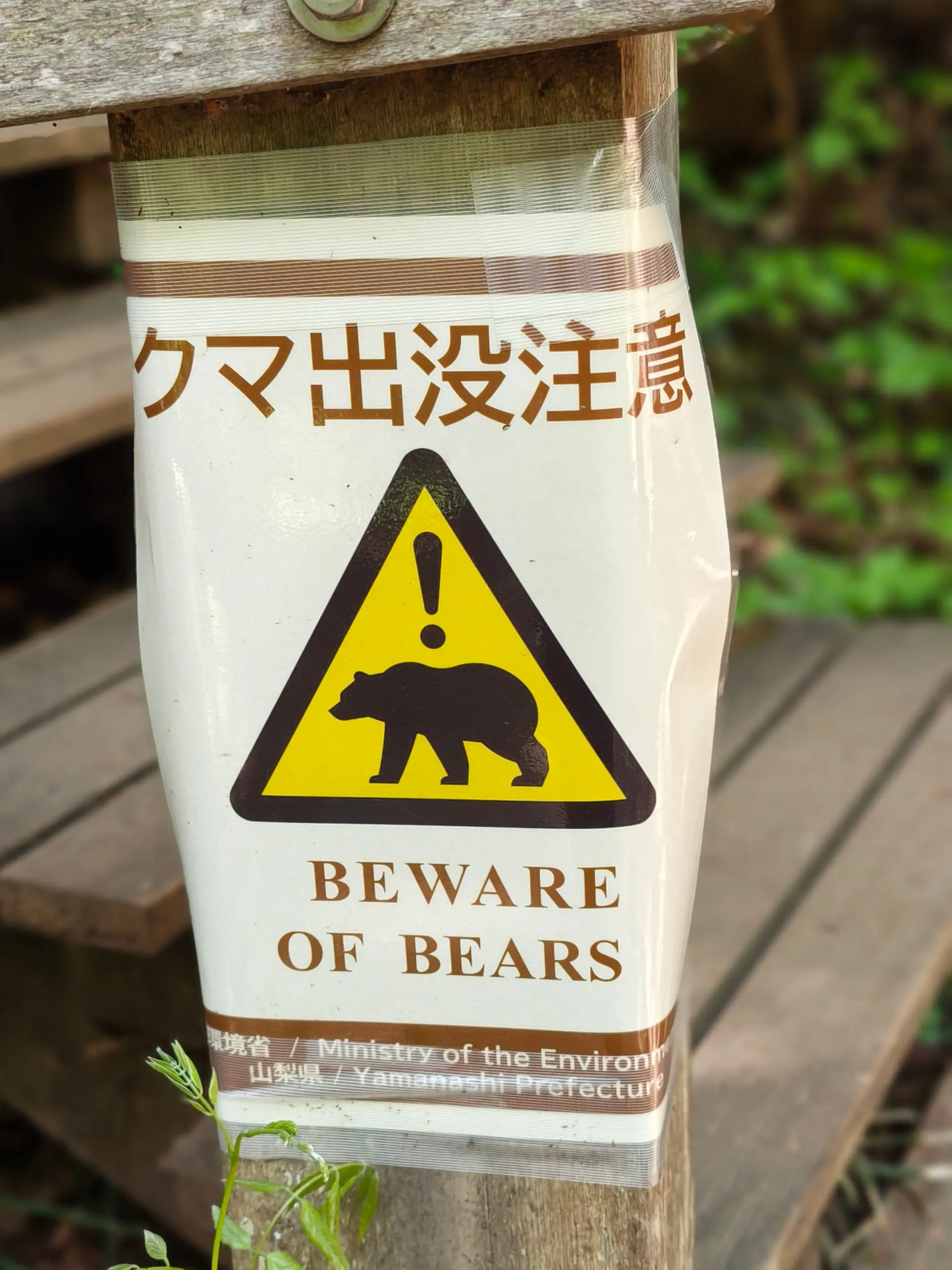 Bílá výstražná tabulka s piktogramem medvěda a nápisem Beware of Bears připevněná na dřevěném sloupku.